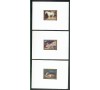 Congo - n°PA 161 / 163 - DELACROIX - Lion,  Cheval, Tigre -  Série en  Epreuve de Luxe.