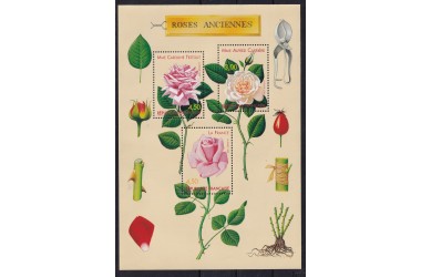 http://www.philatelie-berck.com/11225-thickbox/france-bloc-n-24-roses-anciennes.jpg