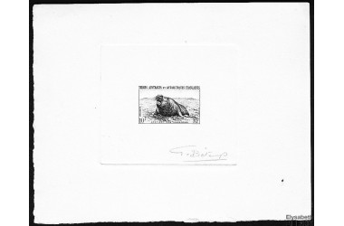 http://www.philatelie-berck.com/1428-thickbox/taaf-n-6-1956-10-f-elephant-de-mer-epreuve-d-artiste.jpg