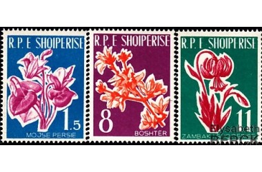 http://www.philatelie-berck.com/2311-thickbox/albanie-n-555-557-fleurs.jpg