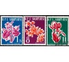 Albanie - n° 555/557 - Fleurs.