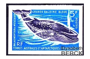 http://www.philatelie-berck.com/2723-thickbox/taaf-n-22-grande-baleine-bleue-nd.jpg