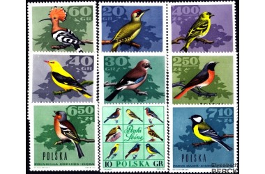 http://www.philatelie-berck.com/3087-thickbox/pologne-n1568-1576-oiseaux-des-bois.jpg