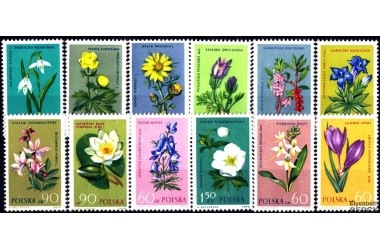 http://www.philatelie-berck.com/3132-thickbox/pologne-n1185-1196-fleurs.jpg