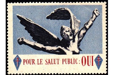 http://www.philatelie-berck.com/570-thickbox/france-liberation-vignette-pour-le-salut-public.jpg